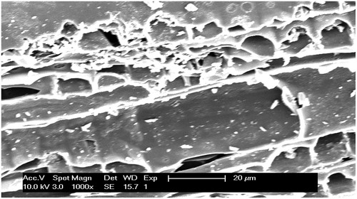 aktívne uhlie binchotan pod mikroskopom