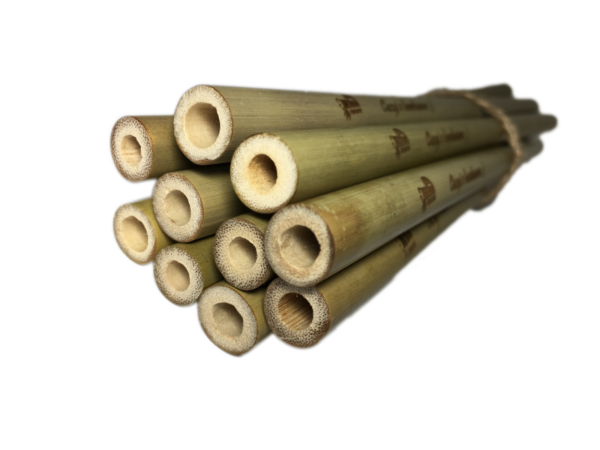 Bambusová slamka Mobake: Cucaj s bambusom