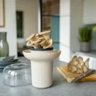 Moderní growkit na pěstování hlívy ústřičné doma – elegantní sada na pěstování hub v interiéru.