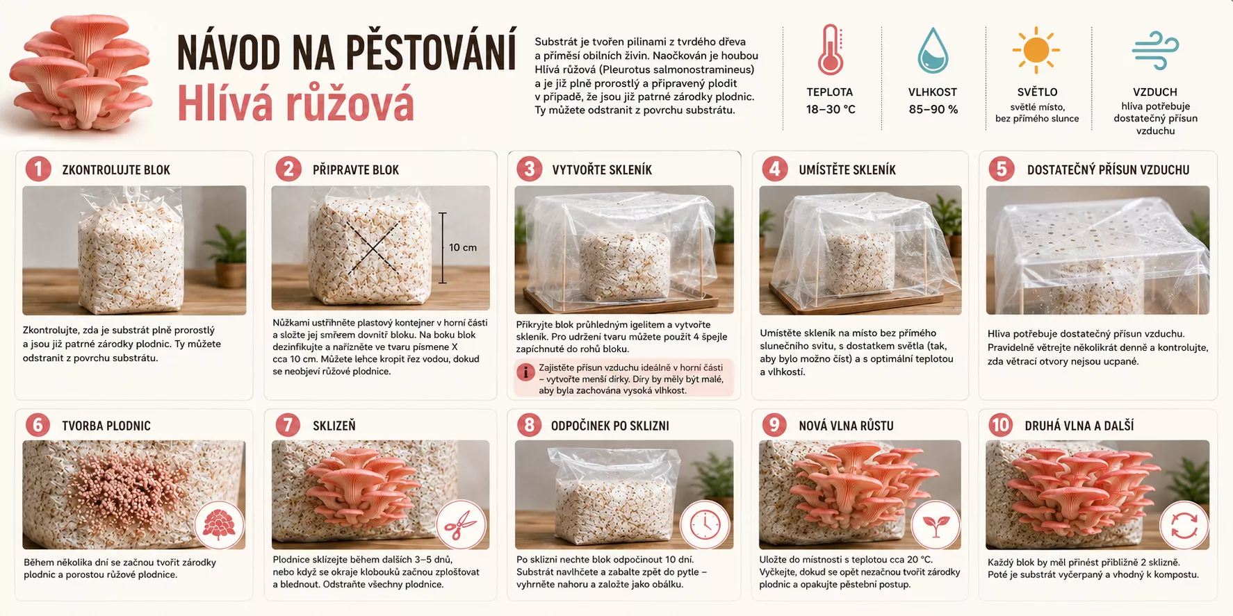 Grafický návod na pěstování hlívy růžové z Grow Kitu krok za krokem včetně teploty, vlhkosti, světla, větrání, sklizně a druhé vlny růstu.